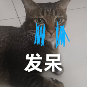 F发呆（Prod Daisy Beat)