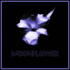 Moonflower