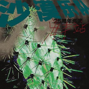 【不想被你操纵】沙漠巡演现场录音 海丰