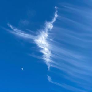 Product of Isolation Pt. I