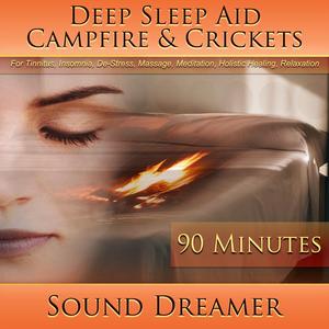Campfire & Crickets (Deep Sleep Aid) [For Tinnitus, Insomnia, De-Stress, Massage, Meditation, Holistic Healing, Relaxation] [90 Minutes]