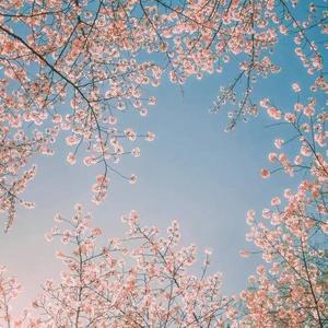 How Long Will I Love You