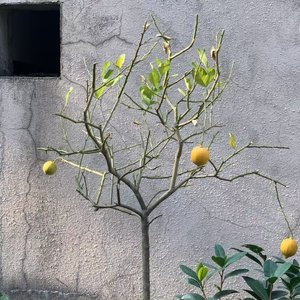 不再联系