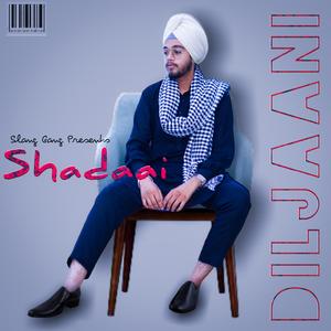 Shadaai (feat. Diljaani)