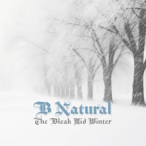 Ding Dong Merrily On High