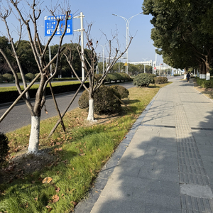 青春无解的遗憾