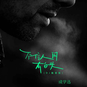 不信人间有白头 (DJ魅音版)