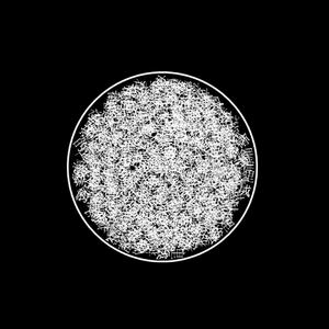 〇（翻自 洛天依）