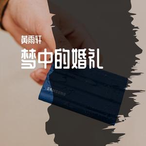 梦中的婚礼