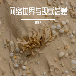 网络世界与现实落差
