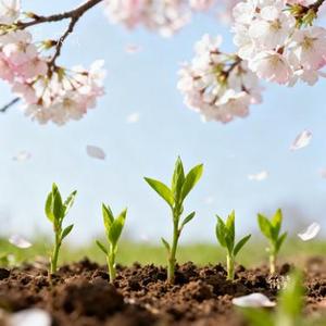 循梦 (Cover 余又)