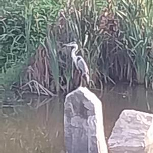 English Song/Treasures of Sharing나눔의 보물/십무진장편 2(The Giving, Wisdom, Mindfulness, Upholding, & Speech)