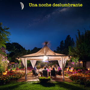 Felicitaciones por tu dia