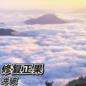 修复正果