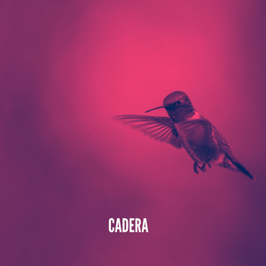 Cadera