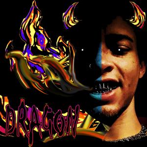 Dragon "Freestyle"