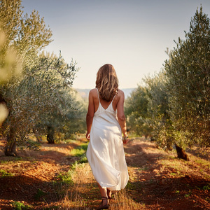 Dew-Kissed Leaves In The Early Hours