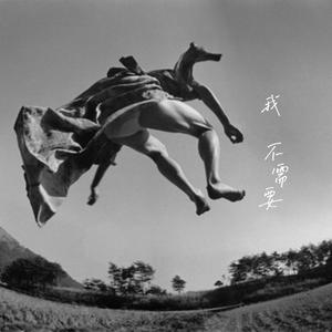 我不需要