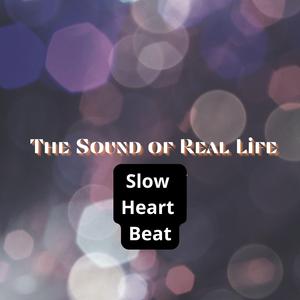 I did more than i could