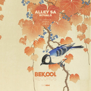 Rituals (Josta Remix)