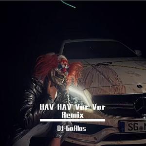 HAV HAV Var Var Remix