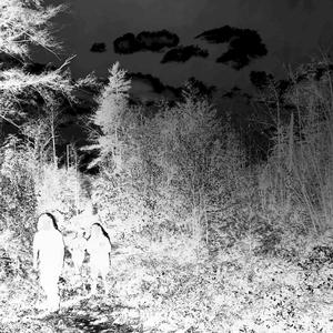 withstand (feat. ghostsocial)