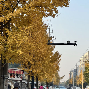 浪漫是和你浪费每个寻常日落