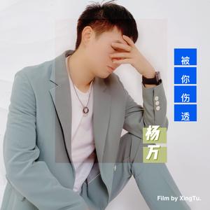 杨万-被你伤透