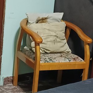 "思念母亲"
