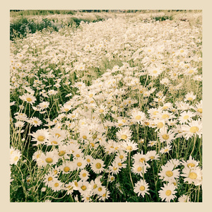 margaritas (Acoustic Version)