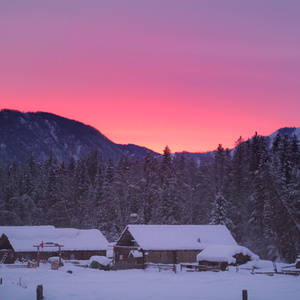 家书（letter 2 my mom）