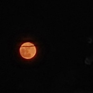 雨夜的过客