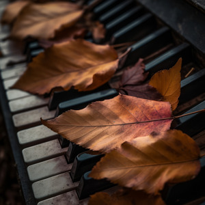 Nights Seeking Information