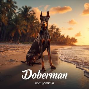 Doberman