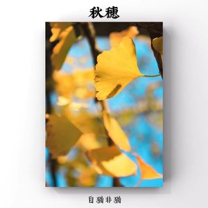 幻想之旅（Jazz version)