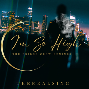 I'm so High (Sebastian Hadl Remix)