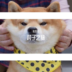 对子之殇（Prod By Divine Music）