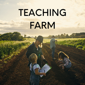 The Eyes of the Tiger