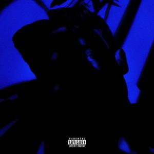 Fruit of Paradise My Darling (Mar 2022) (feat. Graham)