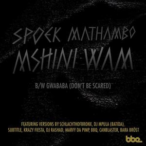 Mshini Wam feat. Avuyile Tosa, Yolanda Fyrus Xashi