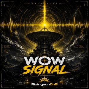Wow Signal DnB