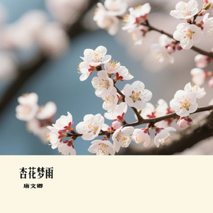 杏花梦雨
