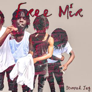 FREE MIR