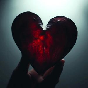 Can't Let Go