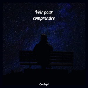 Voir pour comprendre