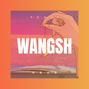 不念则忘 (DJ版)