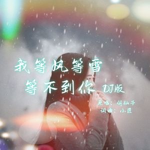 我等风等雪等不到你DJ 伴奏