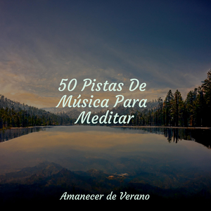 Reverberando el Aliento del Infinito