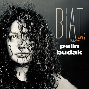 Bi̇at Akusti̇k
