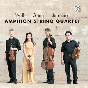 String Quartet in G Minor, Op. 27: I. Un poco andante - Allegro molto ed agitato